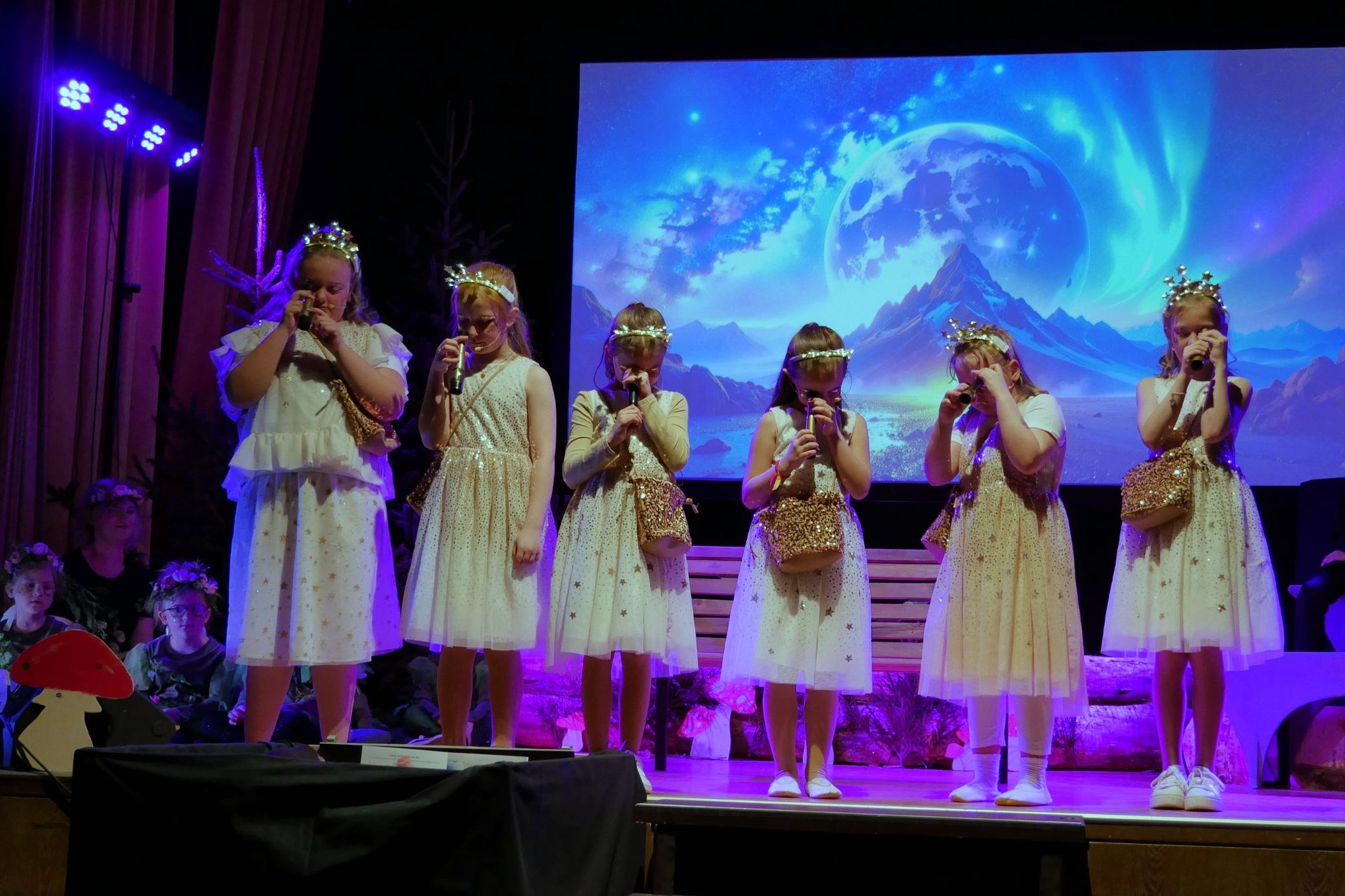 Musical Sternenzauber 14. und 15.03.2026 Wallenfels